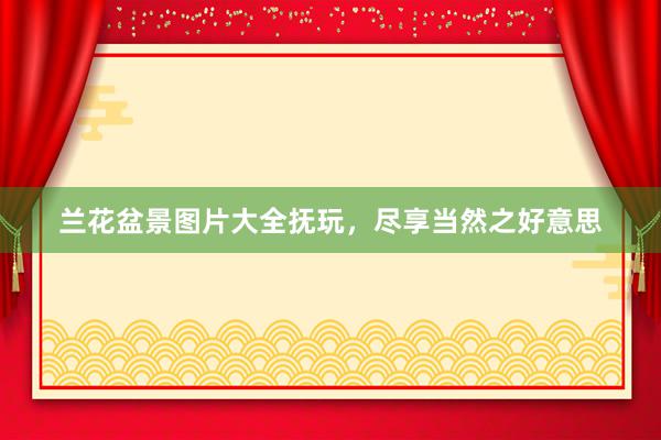 兰花盆景图片大全抚玩，尽享当然之好意思