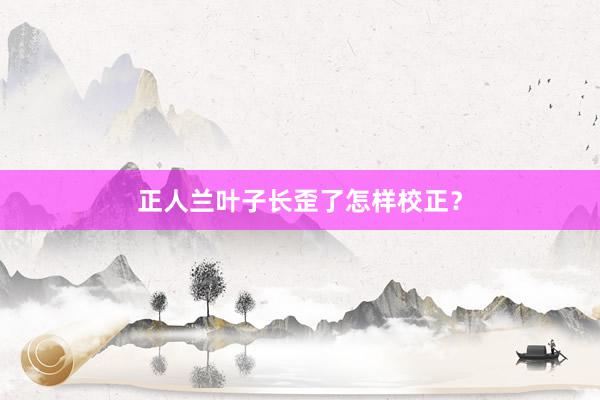 正人兰叶子长歪了怎样校正？