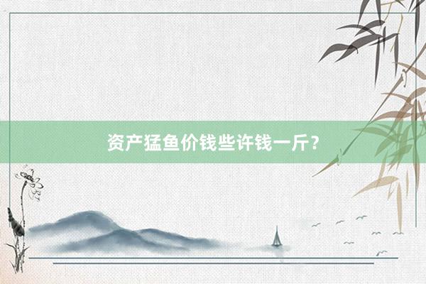 资产猛鱼价钱些许钱一斤？
