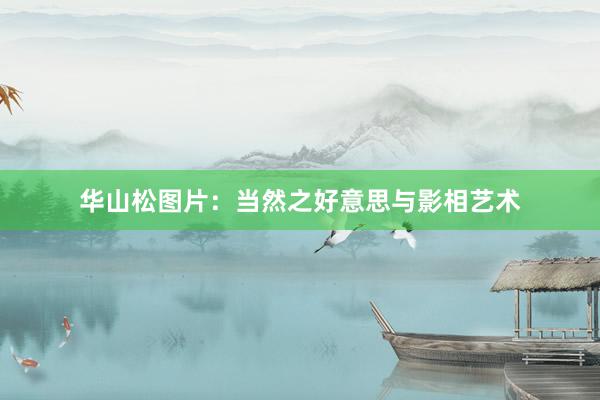 华山松图片：当然之好意思与影相艺术