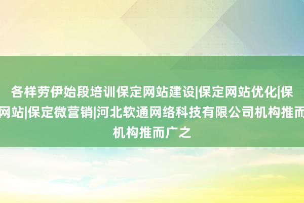 各样劳伊始段培训保定网站建设|保定网站优化|保定做网站|保定微营销|河北软通网络科技有限公司机构推而广之