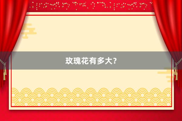 玫瑰花有多大？