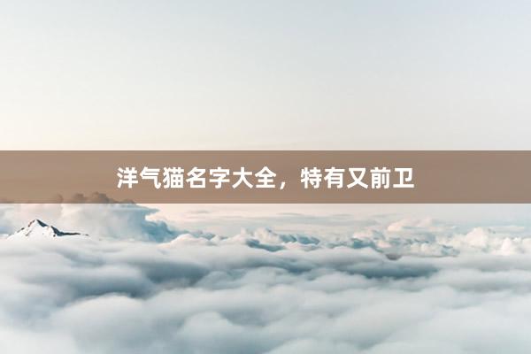 洋气猫名字大全，特有又前卫