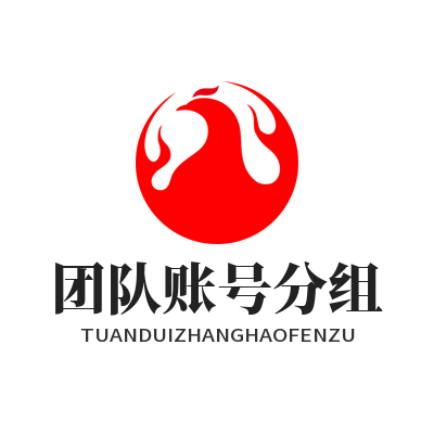 快联VPN 团队账号分组
