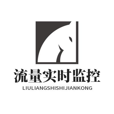 快联VPN 流量实时监控
