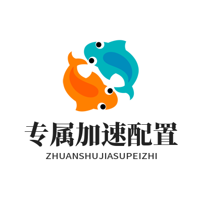 快联VPN专属加速配置