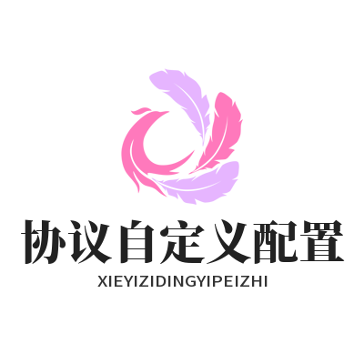 快联VPN协议自定义配置