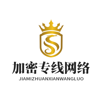 快联VPN加密专线网络